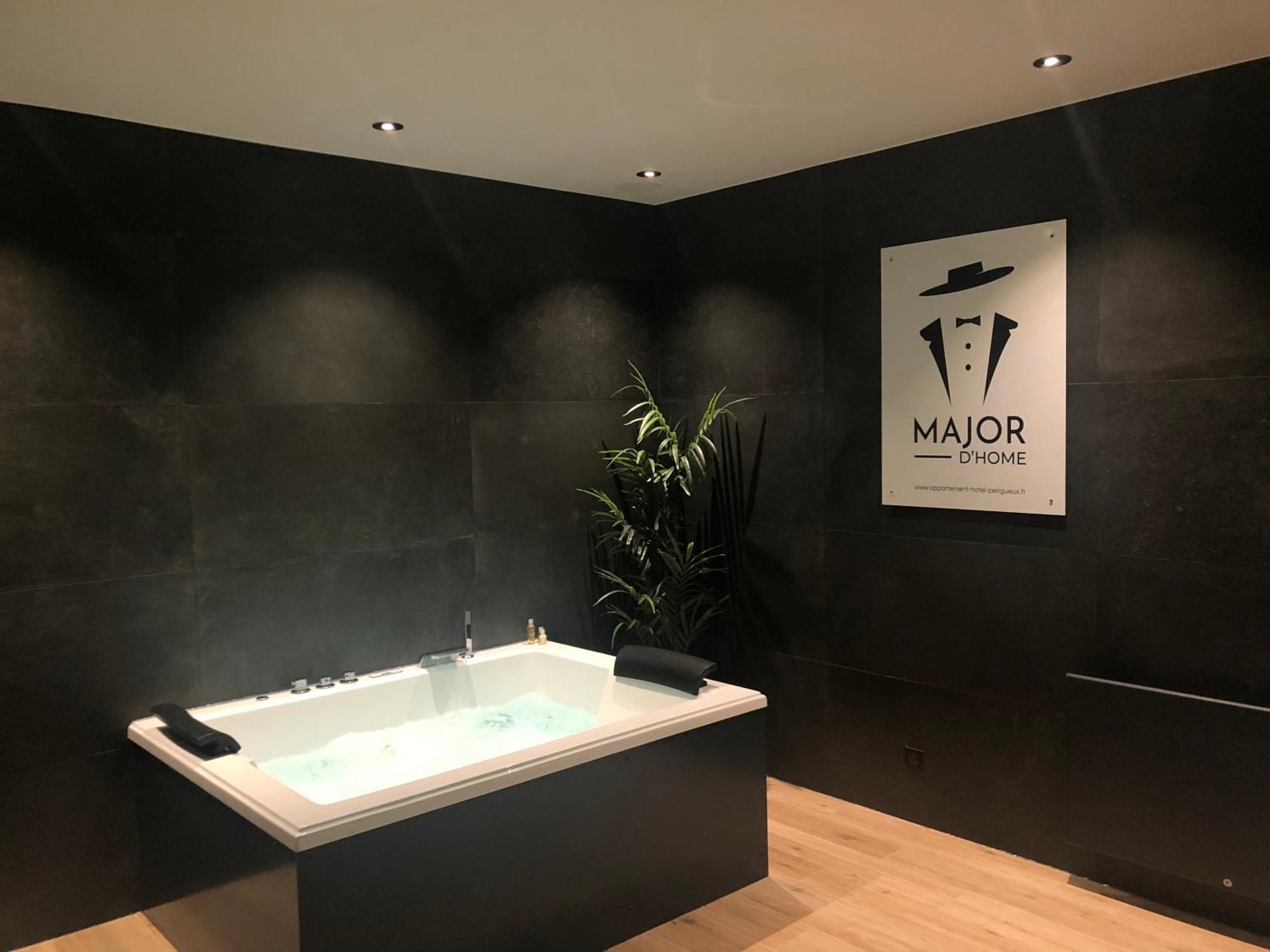 Appart-Hotel De Standing Avec Jacuzzi Privatisable En Option 佩里格 外观 照片